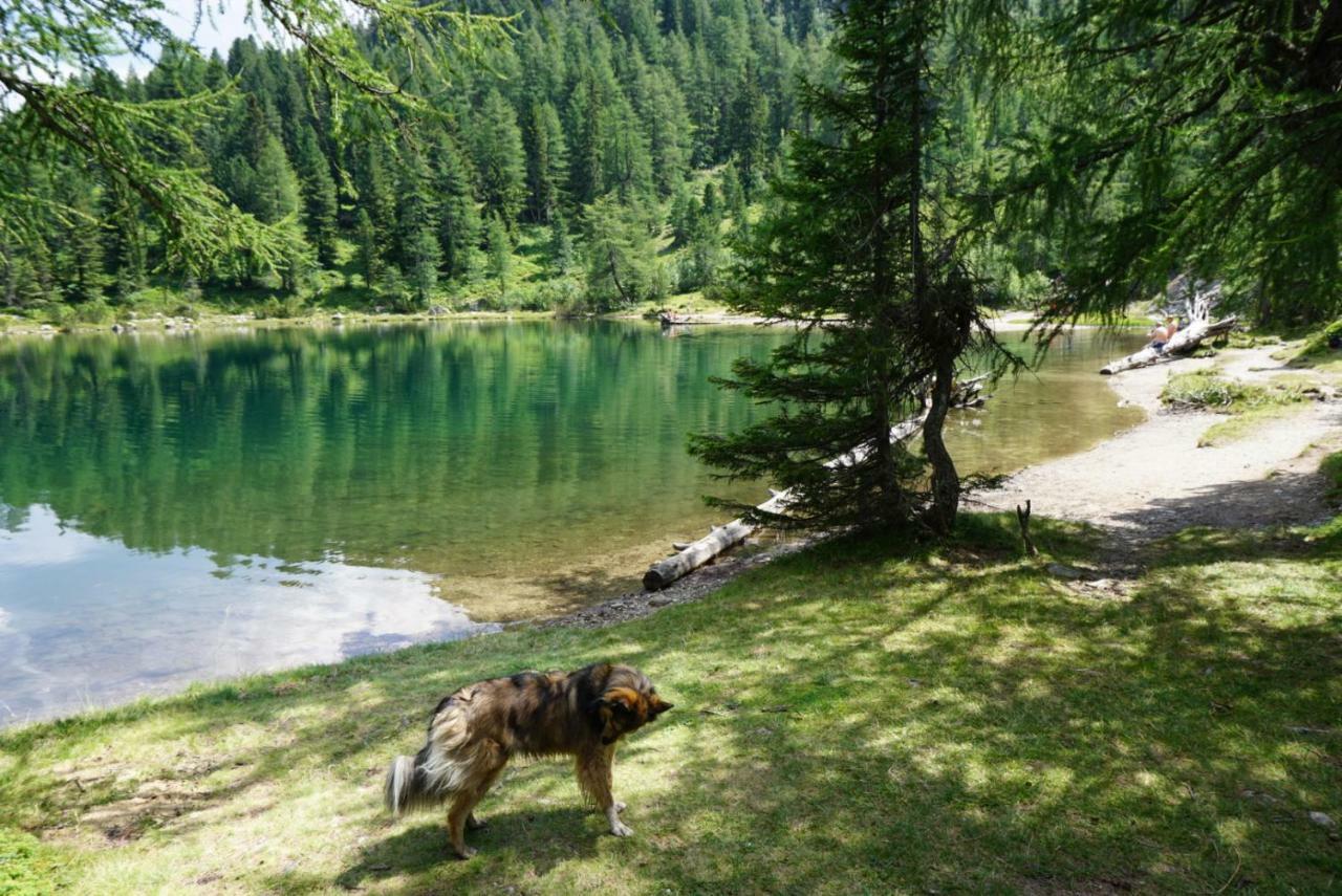 Historic Guesthouse Bircher B&B Apartments Near Sterzing Campo di Trens Εξωτερικό φωτογραφία